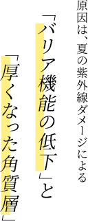 原因は、夏の紫外線ダメージによる!「バリア機能の低下」と「厚くなった角質層」