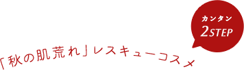 「秋の肌荒れ」レスキューコスメ|カンタン2STEP