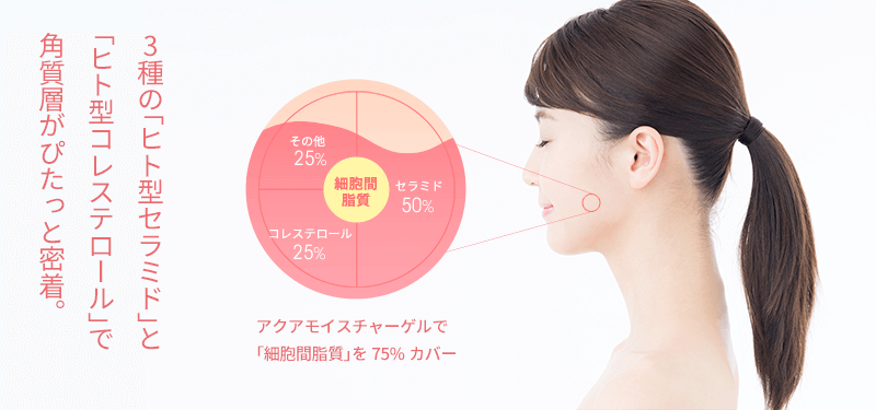 3種の「ヒト型セラミド」と「ヒト型コレステロール」で角質層がぴたっと密着。アクアモイスチャーゲルで「細胞間脂質」を75%カバー